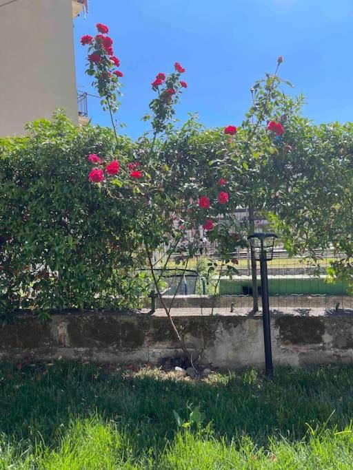 Casa Ale 5 Terre Con Giardino Apartment *